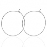 Pendientes Acero Inox 25mm Plateado