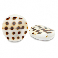 Abalorios conchas 20mm Blanco marr&oacute;n