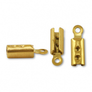 Fornituras Acero Inox terminal para cintas Dorado