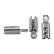 Fornituras Acero Inox terminal para cintas Plateado