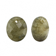 Colgantes de piedra natural Vidrio óvalo Gris claro