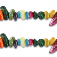 Abalorios conchas chips Multicolor