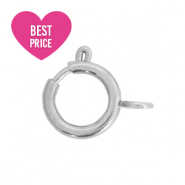 Fornituras acero inox cierre de reasa 7x9mm Plateado