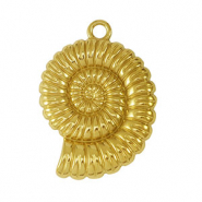 Colgantes Acero Inox concha de mar Dorado