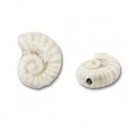 Abalorios de cerámica concha Blancuzco