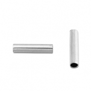 Abalorios Acero Inox tubo 8mm Plateado