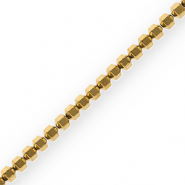 Abalorios Hematita hex&aacute;gono Dorado