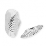 Colgantes Acero Inox concha Plateado