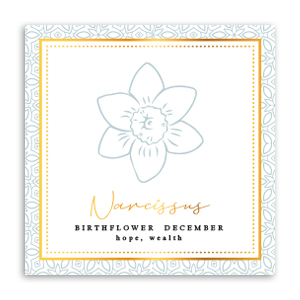 Tarjetas para joyer&iacute;a Flor de nacimiento Diciembre-Narciso Gris verdoso
