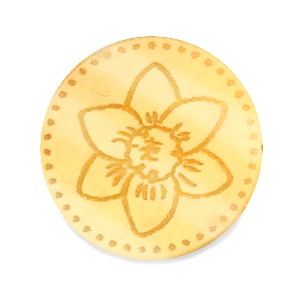 Cabuch&oacute;n Plexx 20mm Flor de nacimiento Diciembre-Narciso Dorado