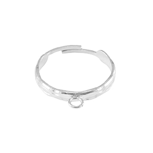 Anillos Acero Inox con anilla Plateado