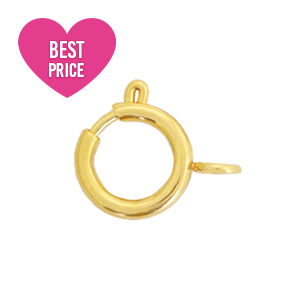 Fornituras acero inox cierre de reasa 6x8mm Dorado