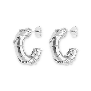 Pendientes Acero Inox Plateado