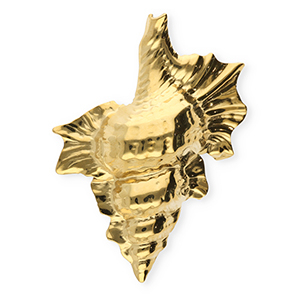 Broches llamativos in acero inox concha Dorado