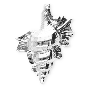 Broches llamativos in acero inox concha Plateado