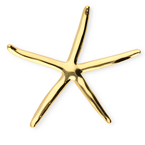 Broches llamativos in acero inox estrella de mar Dorado