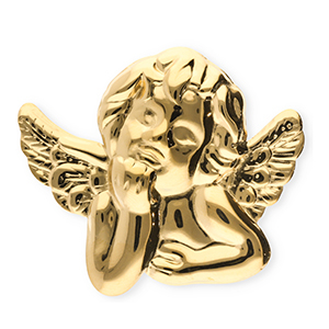 Broches llamativos in acero inox &aacute;ngel Dorado